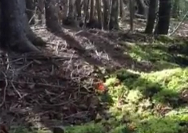 Канадец запечатлел на видео «дышащую землю» Канадец опубликовал видео «дышащей земли»