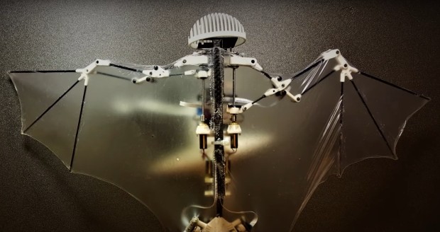 В Калифорнийском университете создан робот-летучая мышь