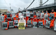 Акция в поддержку арестованных активистов Greenpeace © KM.RU, Алексей Белкин
