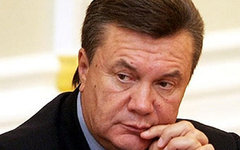 Виктор Янукович. Фото с сайта wikimedia.org