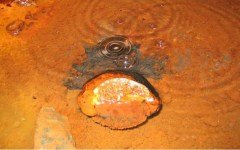 Фото с сайта rcinet.ca