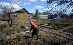 © РИА Новости, Константин Чалабов © РИА Новости, Константин Чалабов