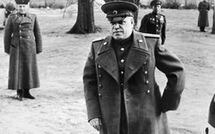 Любимец Сталина Любимец Сталина