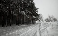 © KM.RU, Алексей Белкин © KM.RU, Алексей Белкин