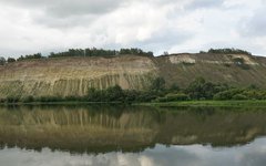 Фото с сайта tsu.ru Фото с сайта tsu.ru