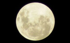  CodeTurner   wikimedia.org