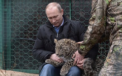 Владимир Путин © РИА Новости, Алексей Никольский
