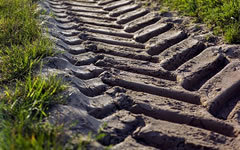 Фото с сайта pixabay.com Фото с сайта pixabay.com