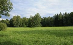 Пейзаж Ленинградской области. Фото с сайта wikimedia.org Пейзаж Ленинградской области. Фото с сайта wikimedia.org