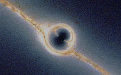 Изображение Urbane Legend с сайта wikimedia.org Изображение Urbane Legend с сайта wikimedia.org