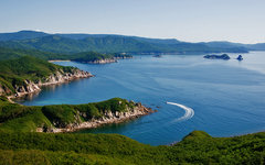 Фото с сайта wikimedia.org Фото с сайта wikimedia.org