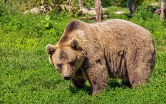 Фото с сайта Pixabay.com Фото с сайта Pixabay.com