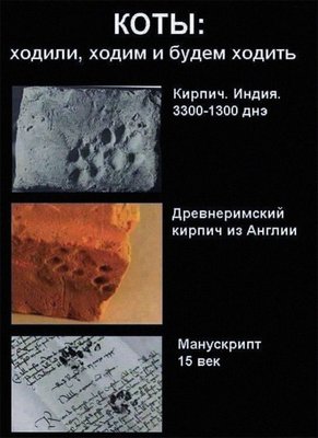 Посмеялся сам - поделись с другом!!!