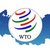 Саакашвили не спас Россию от ВТО. Спасет ли Янукович?