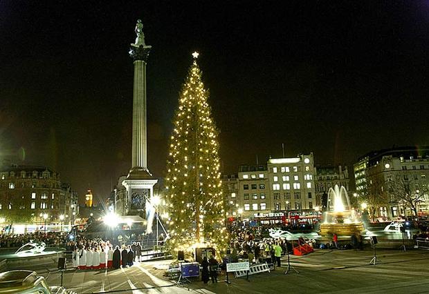Рождественская ель на Трафальгарской площади