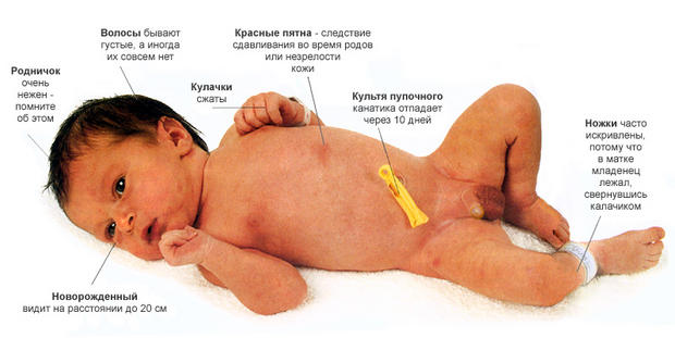 Как построить выкройку для джемпера Как построить выкройку для джемпера