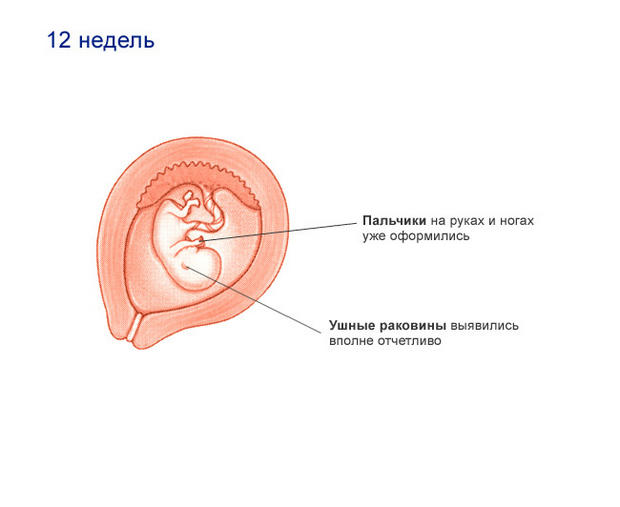 Как отучить людей курить