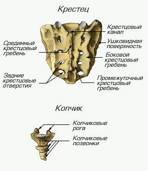 Нормально ли что при беременности болит живот как при месячных