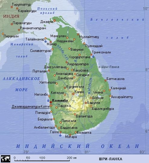 Картошка с фаршем и тестом в духовке рецепт