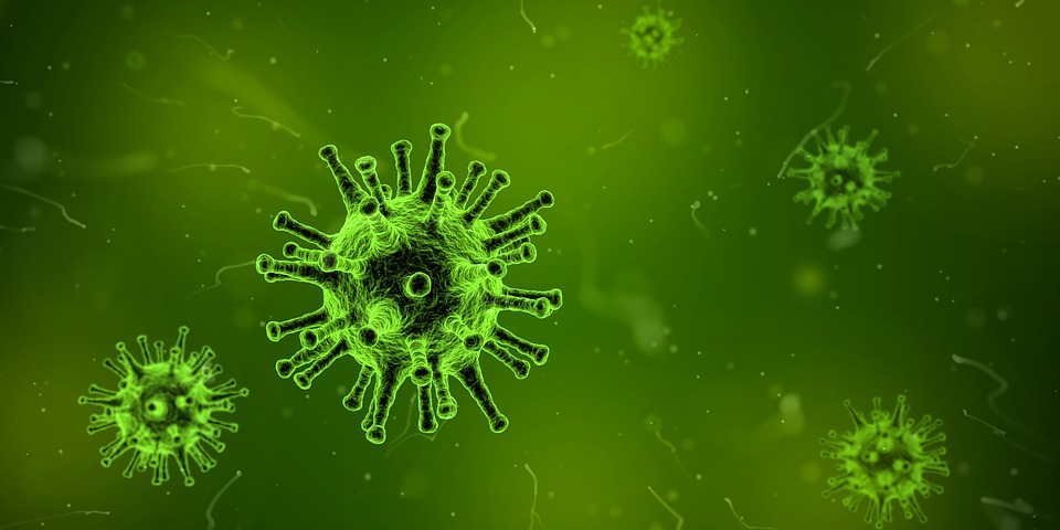 Virus Infection Symptoms