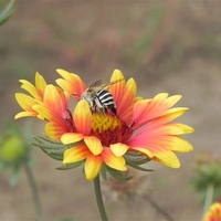 Фото дня «вКругуДрузей»