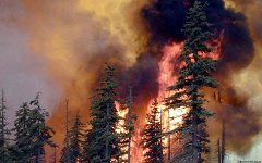 Пожары в Иркутской области Пожары в Иркутской области