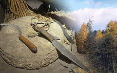 Железные орудия пшеворской культуры. Фото с сайта wikimedia.org Железные орудия пшеворской культуры. Фото с сайта wikimedia.org