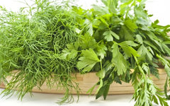 Фото с сайта diets.ru Фото с сайта diets.ru