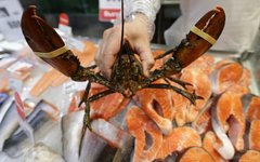 Фото с официального сайта Счетной палаты