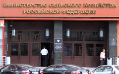© KM.RU, Илья Шабардин © KM.RU, Илья Шабардин