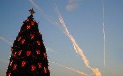 Рождественская елка. Фото с сайта wikipedia.org Рождественская елка. Фото с сайта wikipedia.org