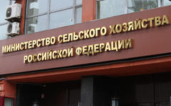 © KM.RU, Илья Шабардин © KM.RU, Илья Шабардин