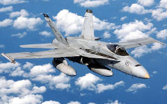 Истребитель F/A-18 Hornet. Фото с сайта defenselink.mil Истребитель F/A-18 Hornet. Фото с сайта defenselink.mil