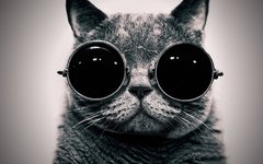 Фото с сайта wot-lol.ru Фото с сайта wot-lol.ru