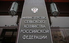 © KM.RU, Илья Шабардин © KM.RU, Илья Шабардин