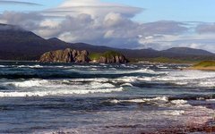 Фото с сайта amist.ru Фото с сайта amist.ru