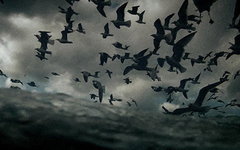 Фрагмент постера к фильму «Левиафан» Фрагмент постера к фильму «Левиафан»
