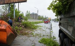Последствия урагана на юге Сахалина. Фото с сайта admsakhalin.ru Последствия урагана на юге Сахалина. Фото с сайта <a target="_blank" href="http: