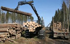 Фото с сайта ko44.ru Фото с сайта ko44.ru