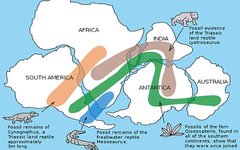 Изображение с сайта wikimedia.org Изображение с сайта wikimedia.org