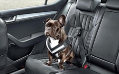 Фото с сайта caradvice.com.au Фото с сайта caradvice.com.au