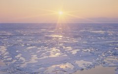 © РИА Новости, Роман Денисов © РИА Новости, Роман Денисов