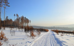 Фото с сайта pixabay.com Фото с сайта pixabay.com