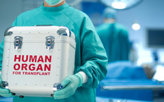 Фото с сайта Bioethics.com Фото с сайта Bioethics.com