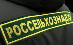 Фото с сайта vesti.ru Фото с сайта vesti.ru