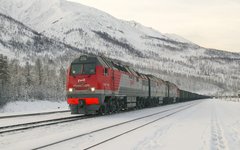 Фото с сайта wikimedia.org Фото с сайта wikimedia.org