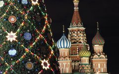 © KM.RU, Кирилл Зыков © KM.RU, Кирилл Зыков