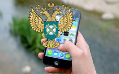 Коллаж © KM.RU Коллаж © KM.RU
