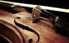 Фото с сайта Pixabay.com Закон о маркировке упростит вывоз ценных инструментов за рубеж