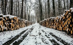 Фото с сайта pixabay.com